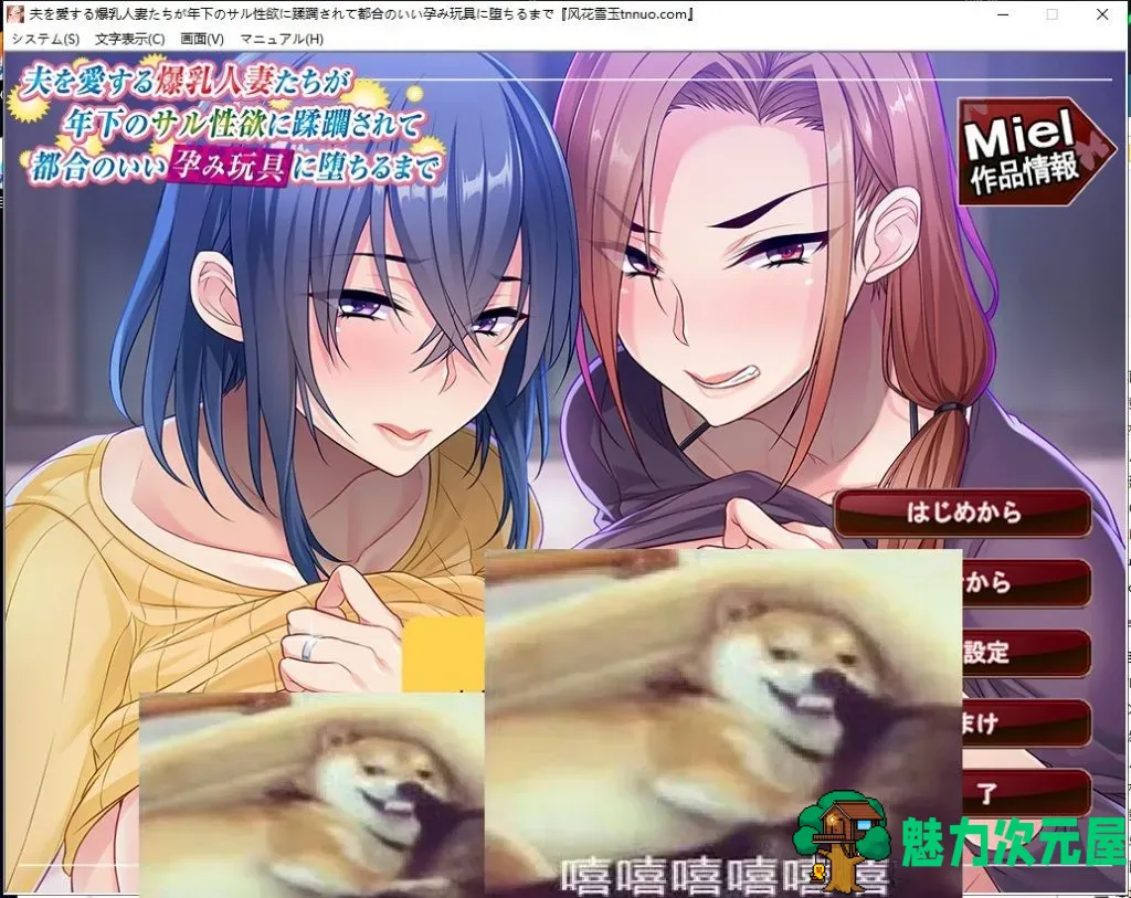 【拔作ADV/汉化/NT.R】征服深爱丈夫的爆乳妻子！堕落成RBQ！安卓+PC 云汉化版+CG包【新汉化/740M】-魅力次元屋