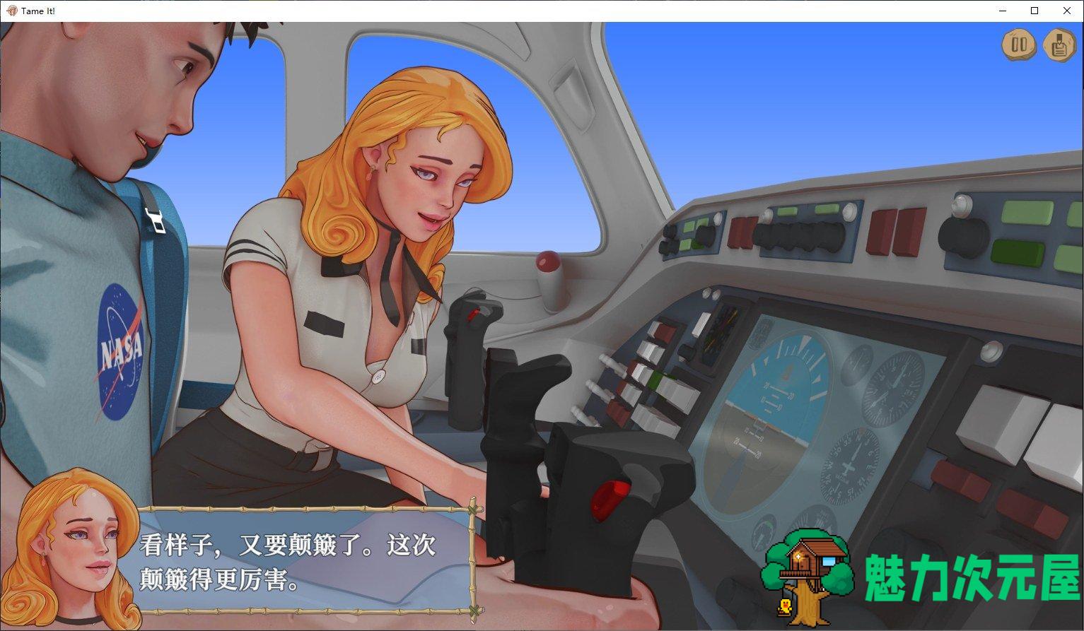【欧美SLG/中文】 Tame It ! v1.1.1 官方中文版 PC+安卓【570M】