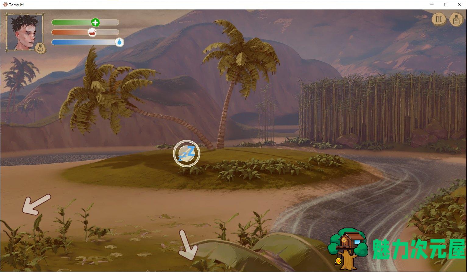 【欧美SLG/中文】 Tame It ! v1.1.1 官方中文版 PC+安卓【570M】