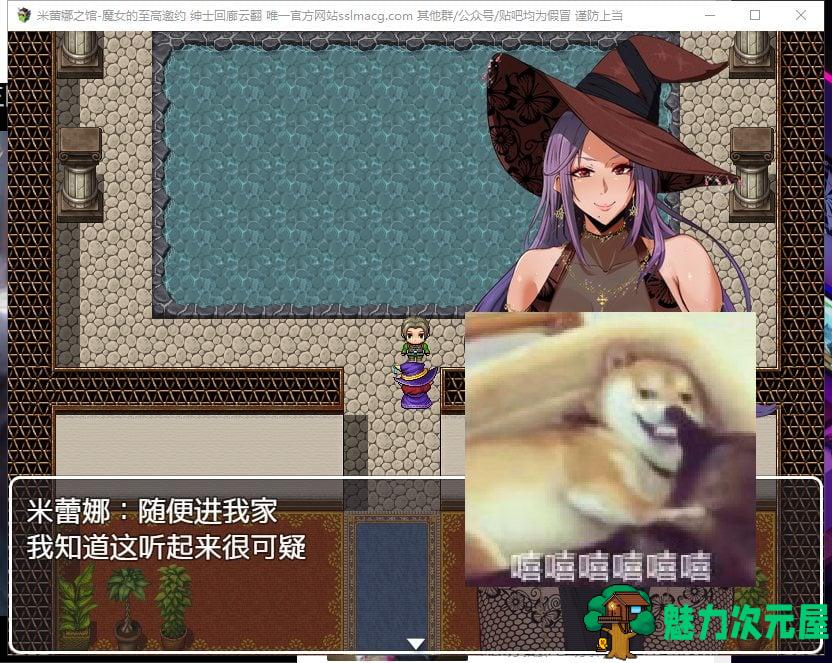 【RPG/汉化】米蕾娜之馆-魔女的至高邀约 安卓+PC 机翻版【700M/新汉化】