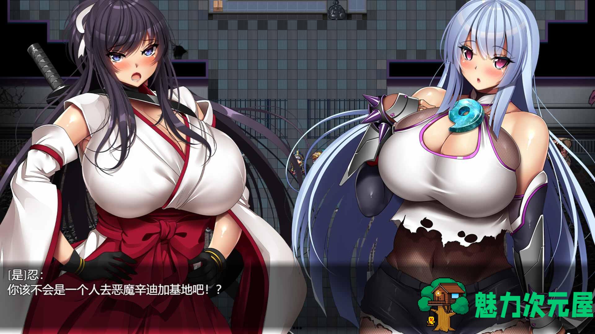 【欧派RPG/中文/全动态/全CV】神峰忍法帖 官方中文步兵版+全回想【新作/1.4G】  