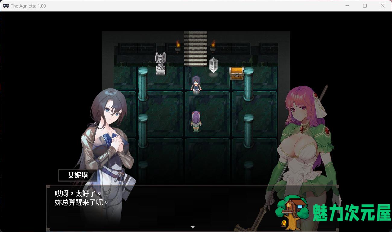 【极品佳作ARPG/中文】治愈使与受诅咒的地下城 Ver1.0 Steam官方中文正式步兵版【新大作/2.3G】