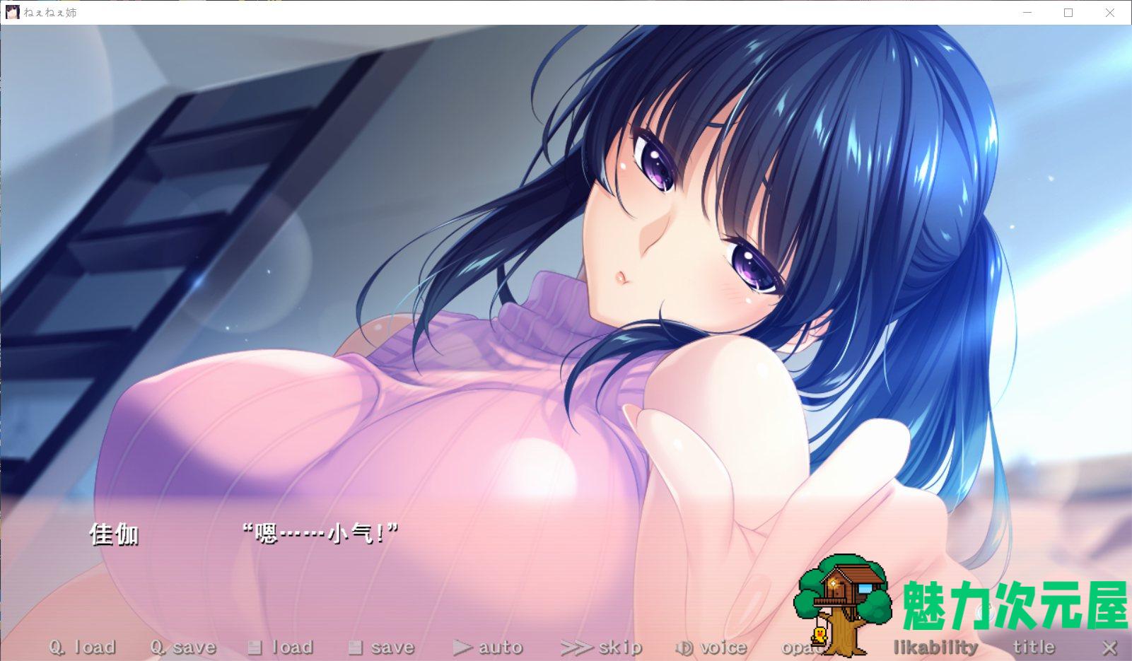 【大作ADV/汉化/全CV】[竹子社] 姐姐们！ねぇねぇ姉！云汉化版+全CG包【新作/4.3G】-魅力次元屋