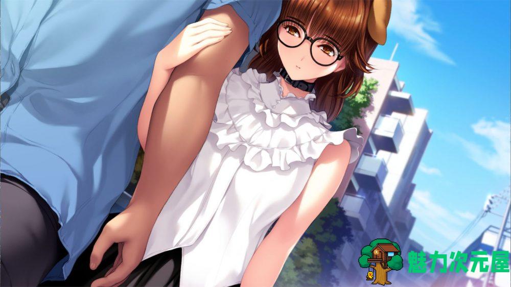 【神作ADV/汉化/动态/全CV】愛姉妹IV-肥宅美梦 完整精翻汉化硬盘版+全CG存档+攻略【新汉化/4G】