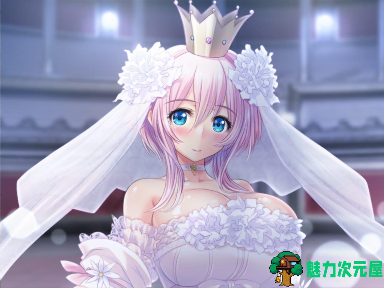 【顶级拔作ADV/汉化/全CV】圣布伦希尔特学园少女骑士团和纯白的胖次 精翻汉化硬盘版+全存档+攻略+同名动画【新汉化/3G】