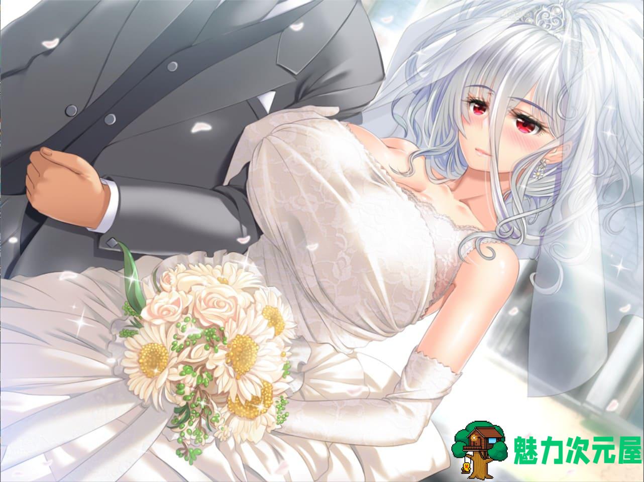 【顶级拔作ADV/汉化/全CV】圣布伦希尔特学园少女骑士团和纯白的胖次 精翻汉化硬盘版+全存档+攻略+同名动画【新汉化/3G】