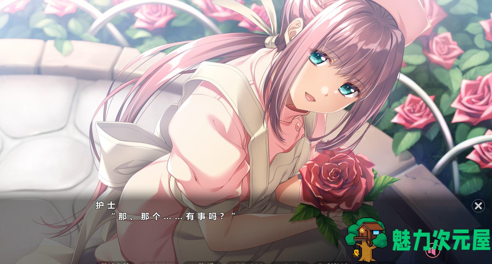 【日式ADV/中文】夜勤病栋 官中步兵版【新作/810M】
