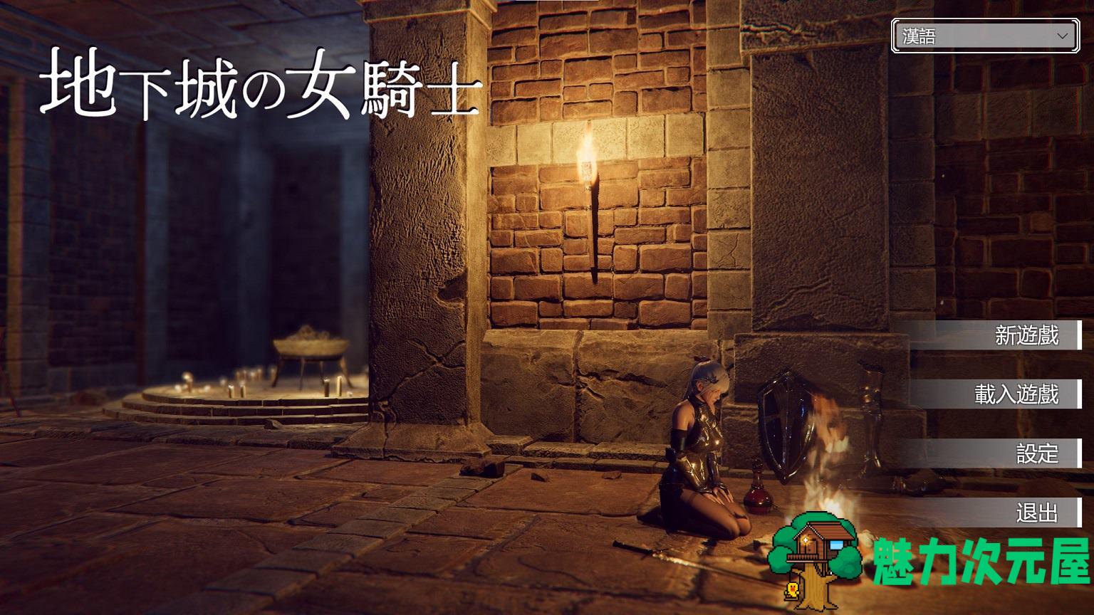 【日式ACT/中文】地下城的女骑士 steam官中步兵版【新作/3.3G】-魅力次元屋