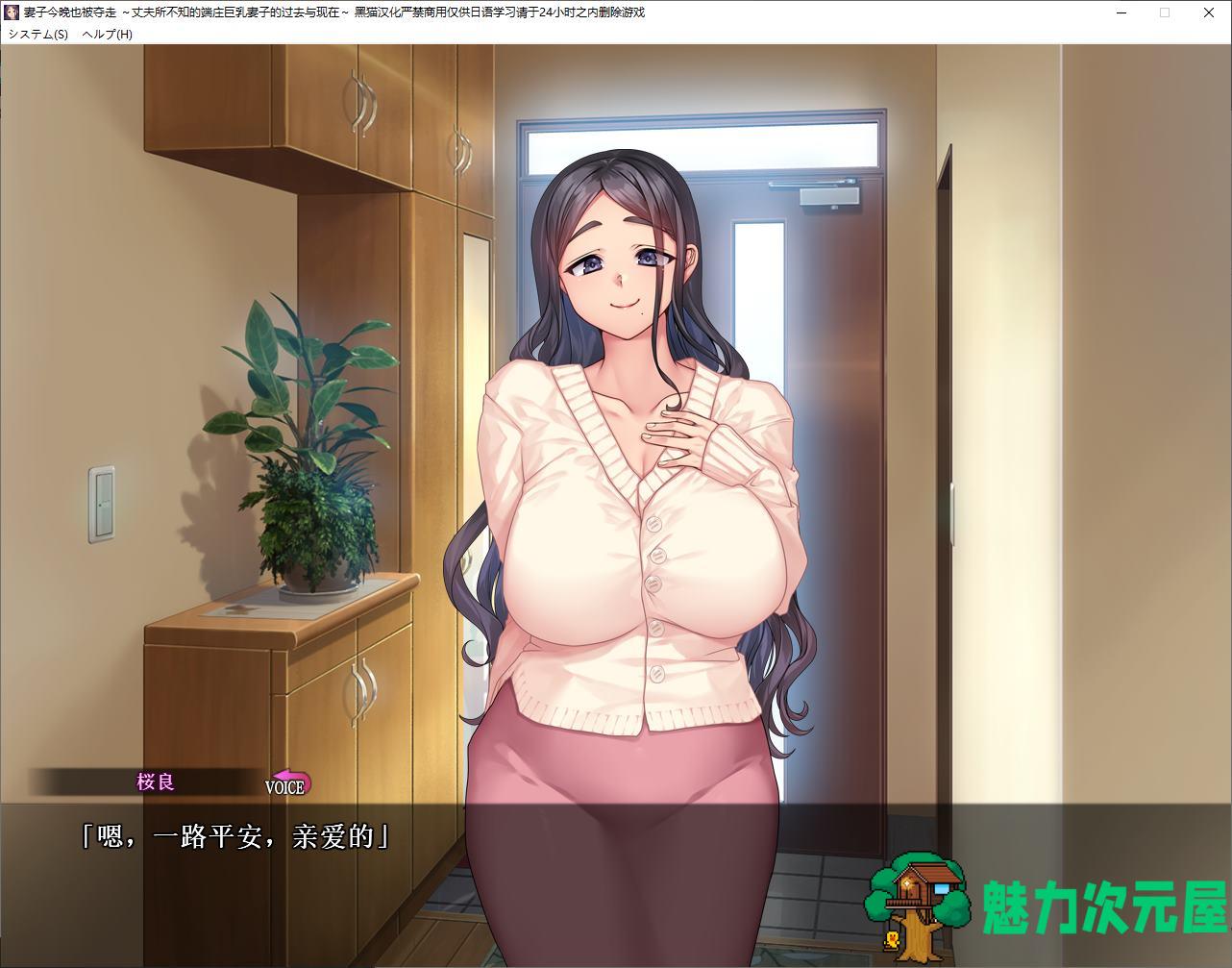 【绿色ADV/汉化】妻子今晚也被夺走 ～丈夫所不知的端庄巨乳妻子的过去与现在 机翻汉化版【新汉化/1.1G】