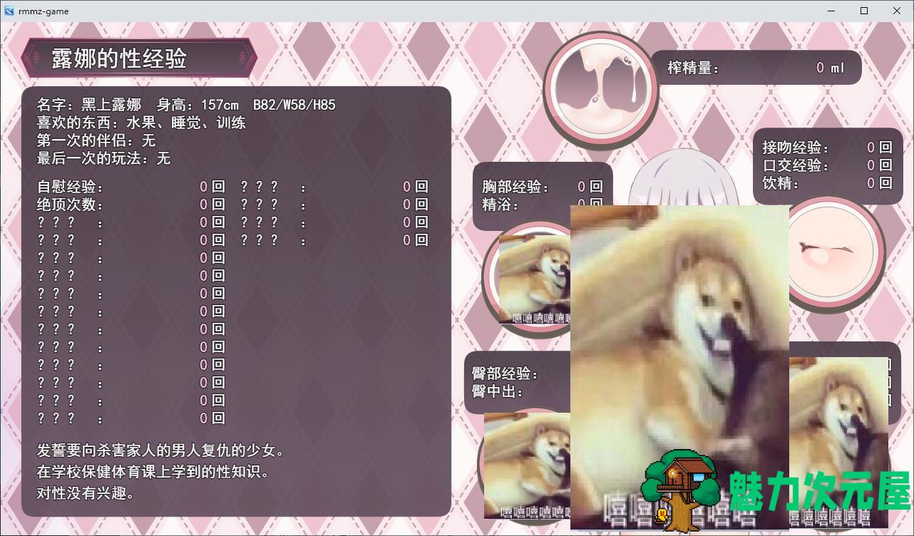 【日式RPG/汉化】黑神露娜的复仇 机翻汉化版【新汉化/1.4G】