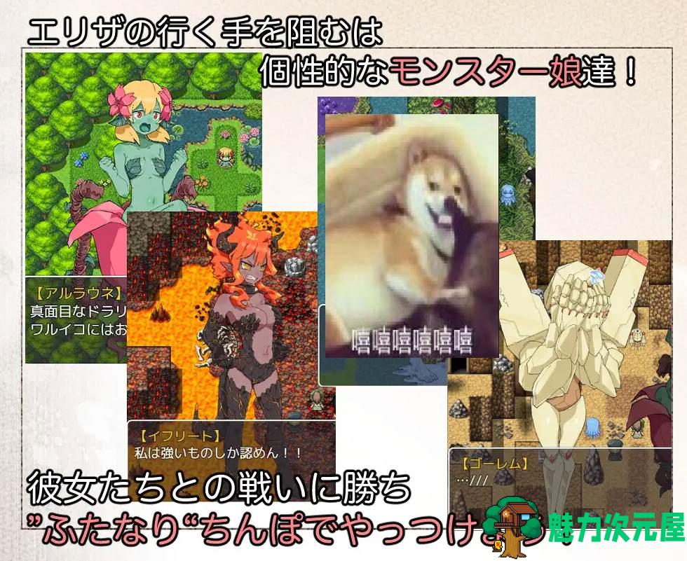 【日式RPG/汉化】扶她魔物使艾莉莎 机翻汉化版【新汉化/960M】