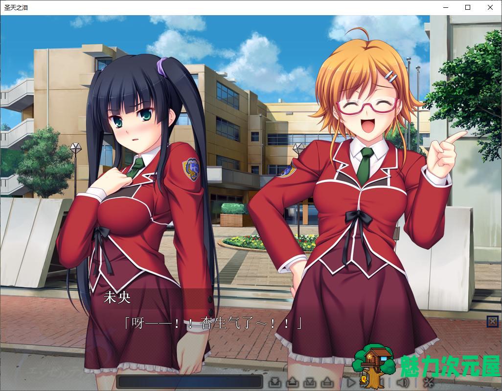 【拔作ADV/中文/CV】圣天之泪：惨遭背刺的天使 官中步兵版 【新作/7.7G】