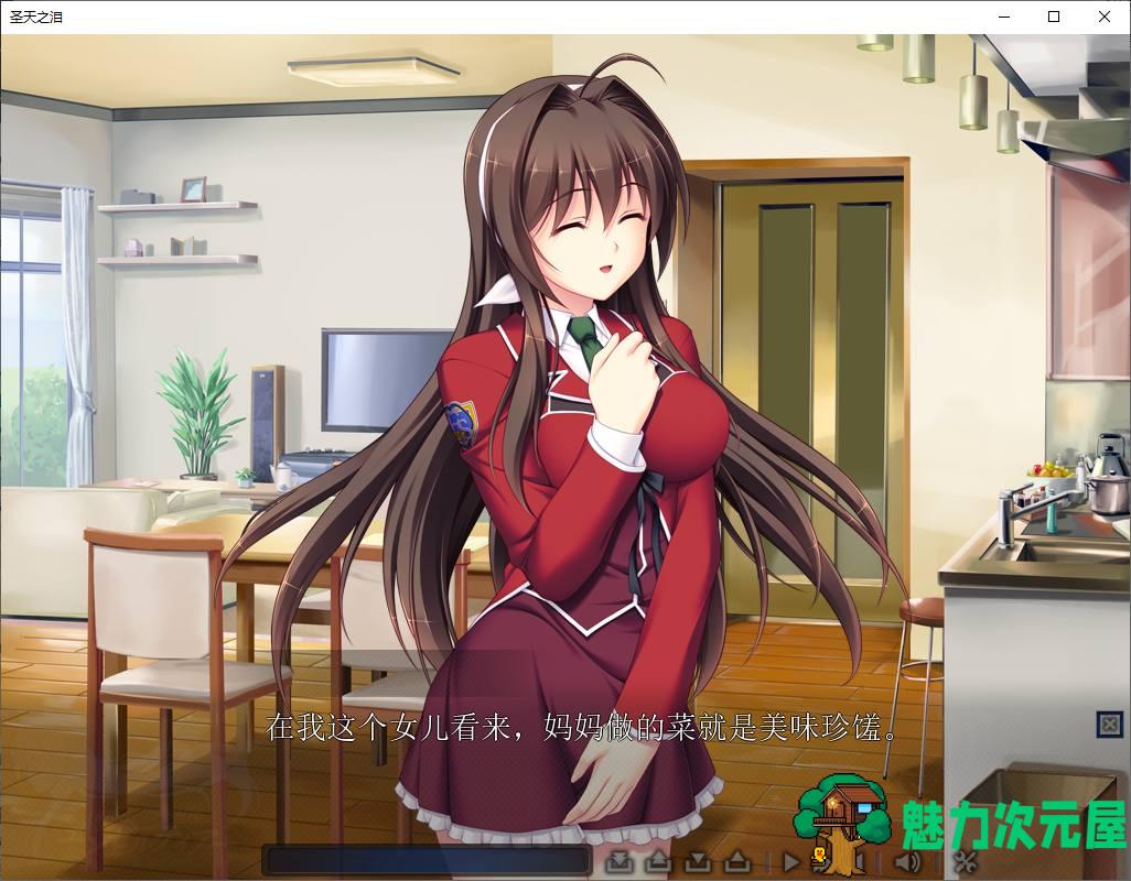 【拔作ADV/中文/CV】圣天之泪：惨遭背刺的天使 官中步兵版 【新作/7.7G】