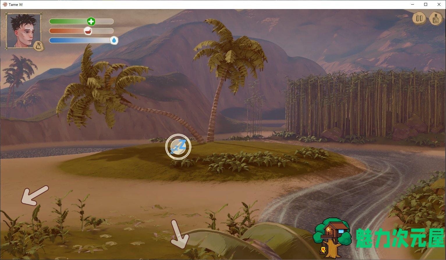 【欧美SLG/中文】 Tame It ! v1.2 官方中文版 【更新/1.3G】