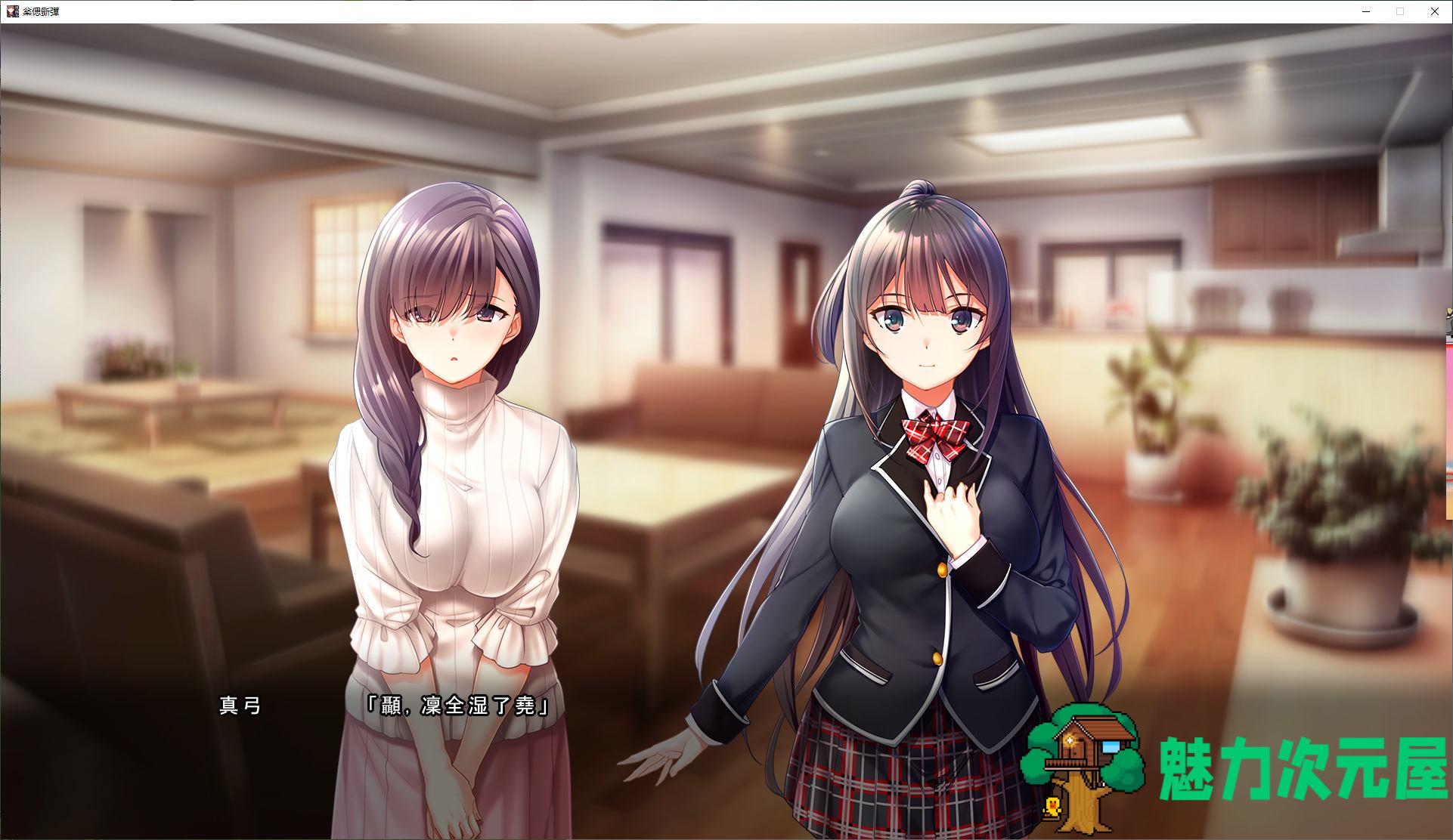 【日式ADV/汉化/CV】妹妹和她各自的选择 机翻汉化版【新汉化/11G】