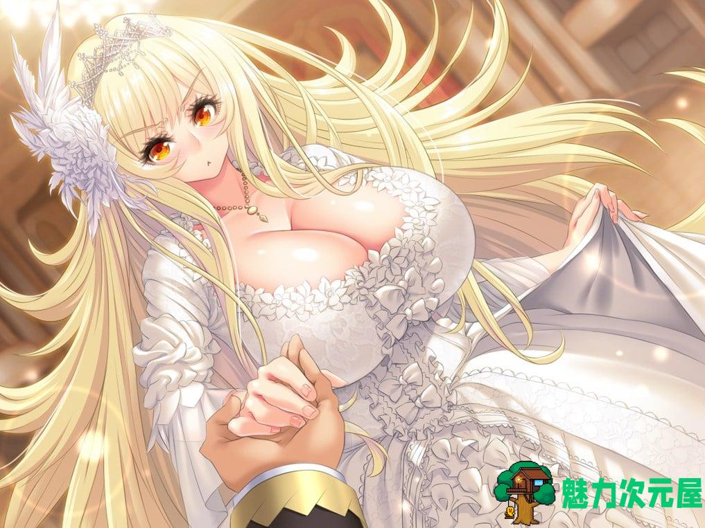 【拔作ADV/汉化】姬汁 HIMEJIRU 机翻汉化版【新汉化/3.1G】
