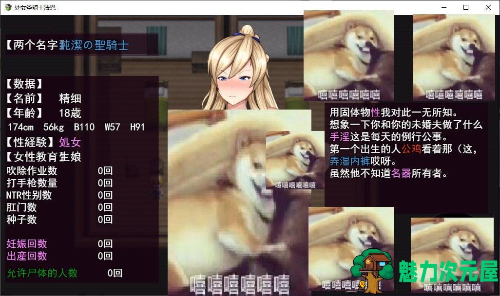 【日式RPG/汉化/动态】处女圣骑士菲涅用身体拯救王国的故事！ v1.05 机翻汉化版【新作/2.1G】