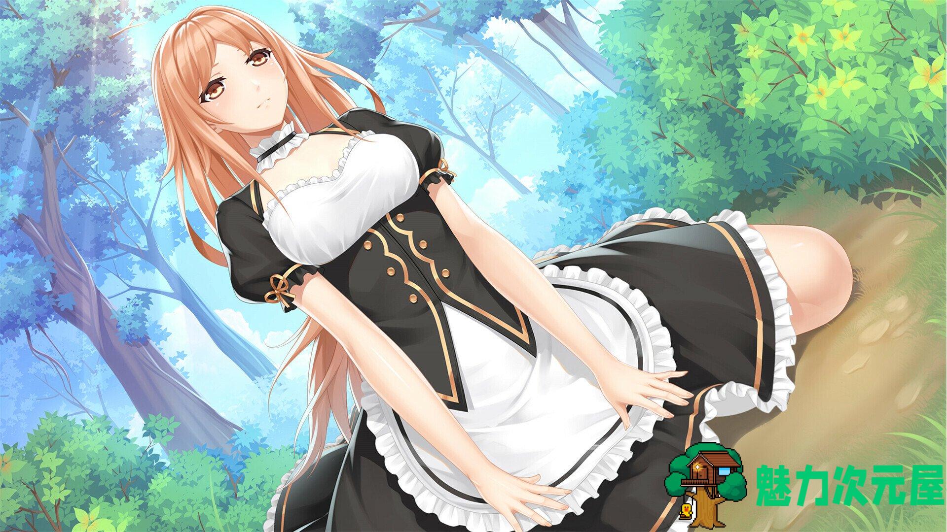 【国产RPG/中文/CV】魔塔少女 STEAM中文步兵版【新作/1G】