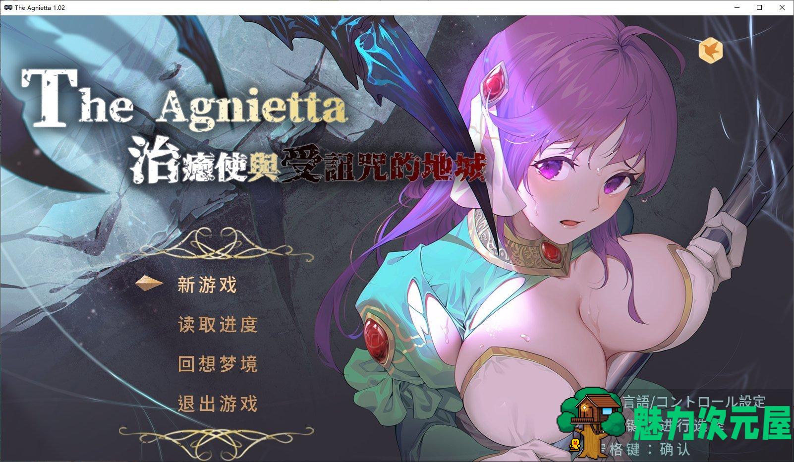 【ARPG/中文/步兵】治愈使与受诅咒的地下城 V1.02 中文步兵版【2.2G/完结/全CV】-魅力次元屋
