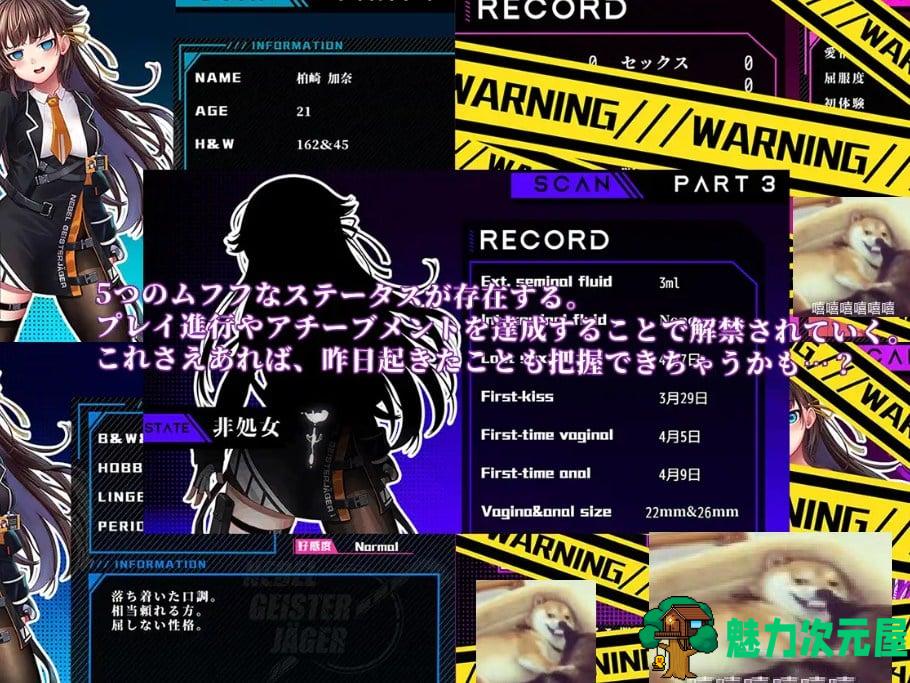 【日式RPG/中文/CV】 Nebel Geisterjäger~ 零号羔羊 官中步兵版 付CG【新作/1.5G】