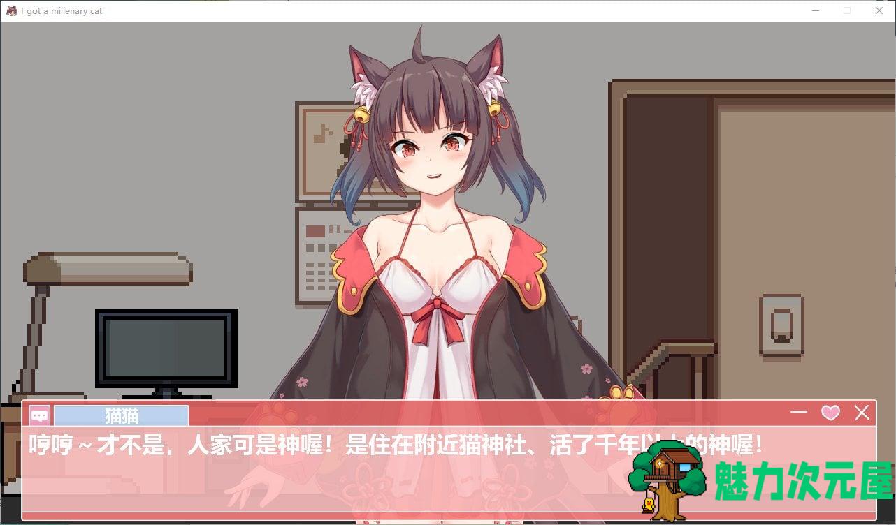 【日式SLG/中文/动态】捡到千年猫 V1.4.1 官方中文步兵版【855M/更新】