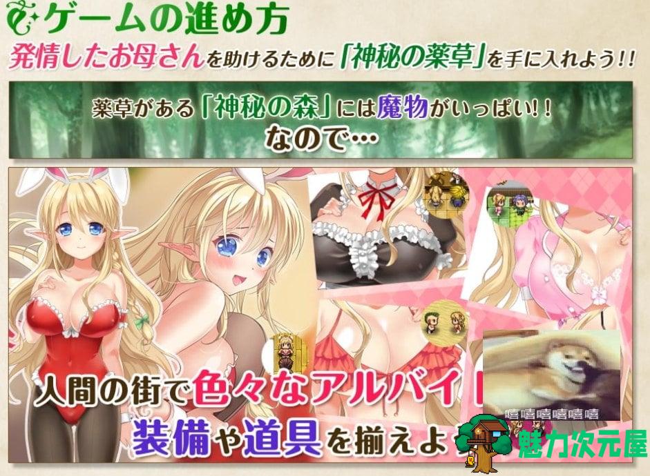 【RPG/汉化】精灵母娘与不可思议的果实 精汉化版 付存档【840M/新汉化/全CV】