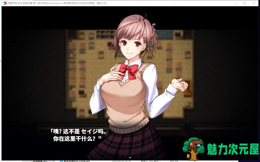 【RPG/汉化/全动态】梦魔学院 サキュバスアカデミ 机翻版【3G/新作/全CV】