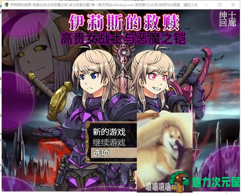【RPG/汉化】伊莉斯的救赎-高贵女战士与恶魔之铠 机翻版【1.5G/新汉化/全CV】-魅力次元屋