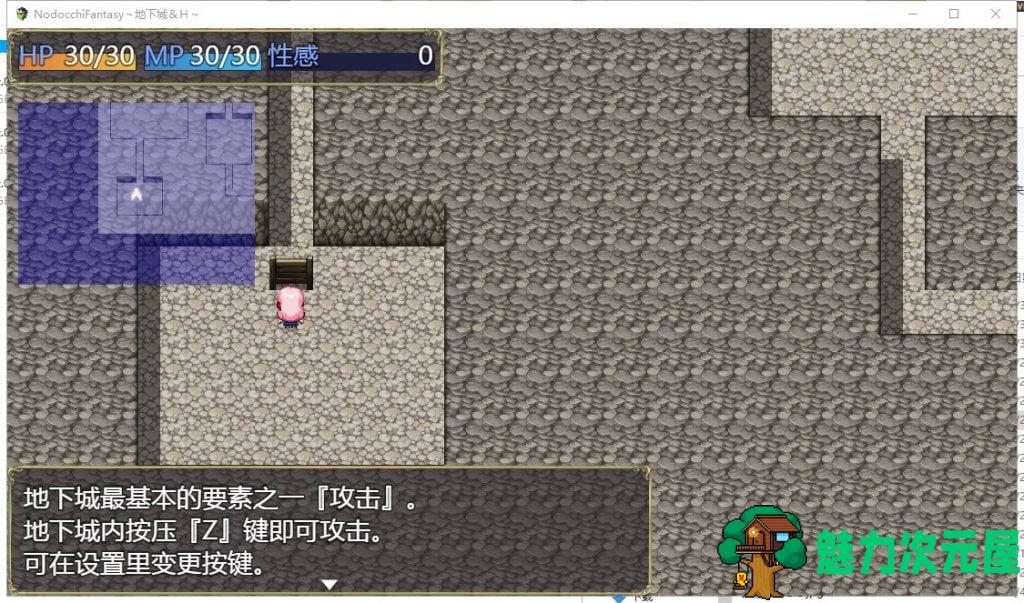 【ARPG/汉化/全动态】NodocchiFantasy~地下城orERO 汉化版【6G/新汉化】