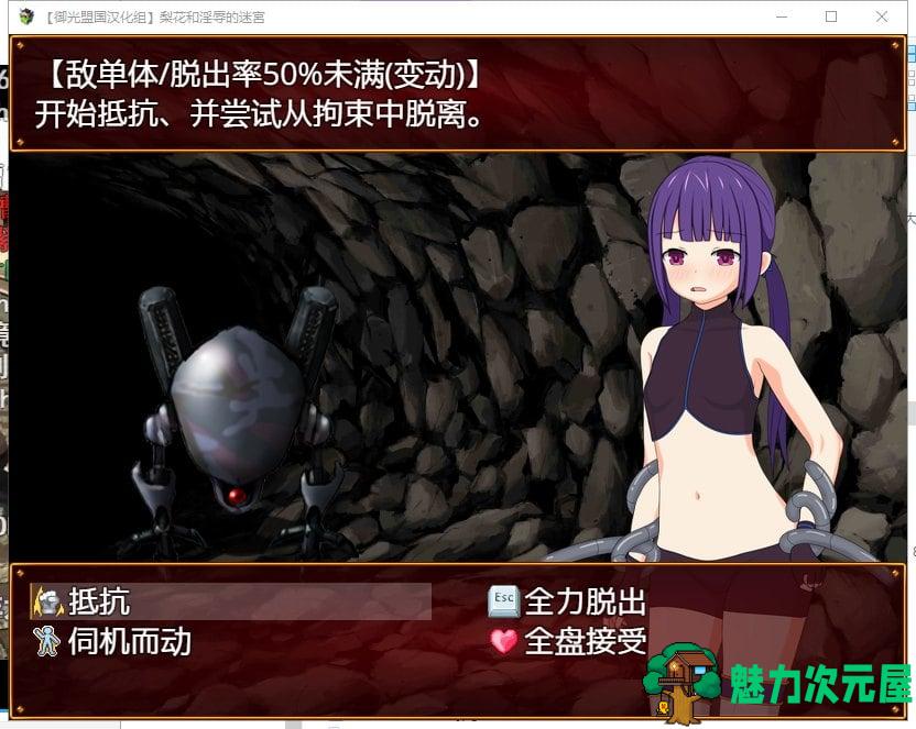 【RPG/汉化/战斗H】梨花和银辱的迷宫 精翻汉化完结版【新汉化/760M】
