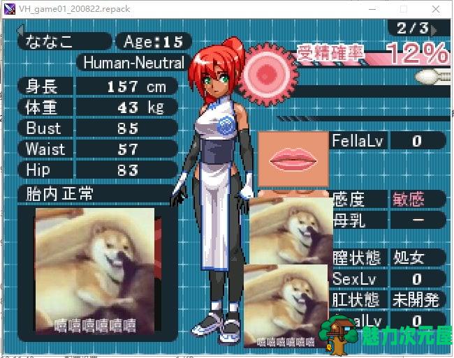【大坑RPG/像素】VHゲーム01 v202008版本 付魔改版【1.2G】