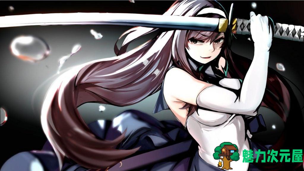 【RPG/汉化】和泉的冒险2~这次是水之国篇 安卓+PC 精翻汉化完结版【新汉化/2.3G】