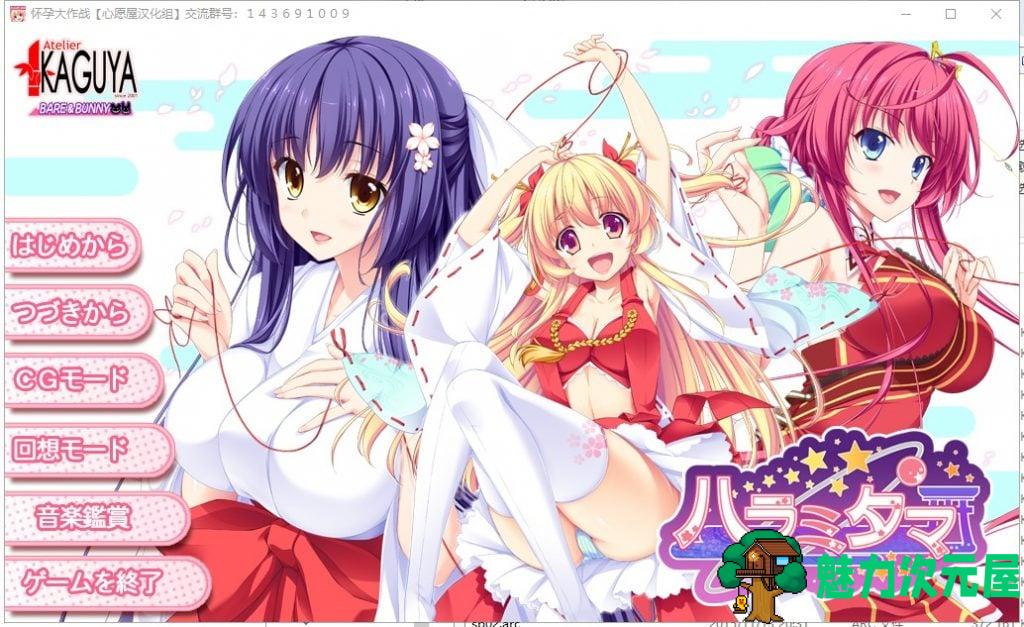 【拔作ADV/汉化/全CV】怀孕大作战 精翻汉化硬盘版 付CG包+存档【新汉化/3.8G】-魅力次元屋