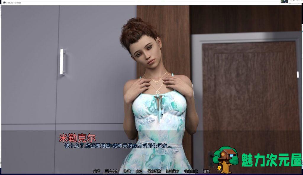 【欧美SLG/汉化/动态】完美照片 0.10 精翻汉化重置版【PC+安卓】【更新/2.4G】