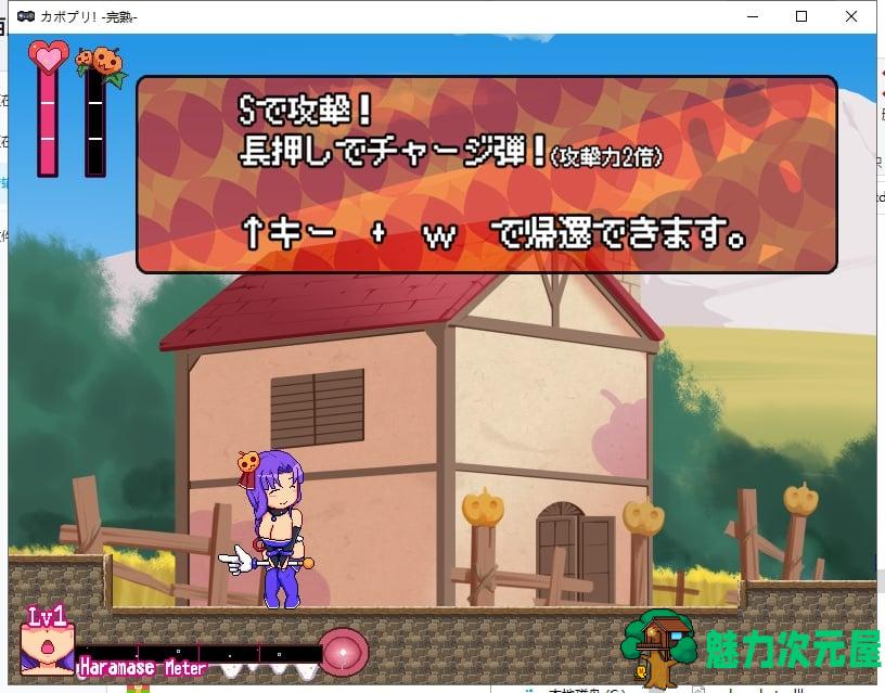 【ACT/全动态/双版】早熟or完熟！卡博奇王国的交尾姬骑士！母/女双版本【800M/新作】