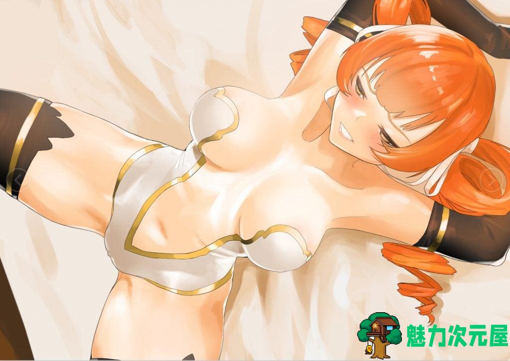 【RPG/中文/超赞2D】白浊骑士~希尔缇娜 Steam官方中文步兵版+CG包【新作/800M】