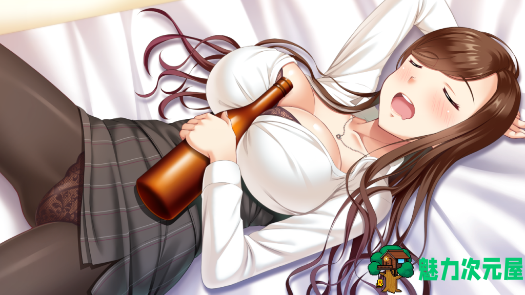 【ADV/汉化/CV】以H策略开始！超社保经营复兴计划！汉化版+CG包【新汉化/2G】