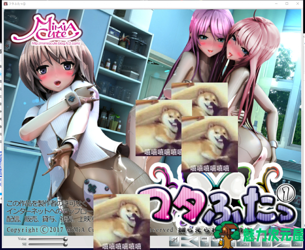 【3D/全动态】熏子：被捕获的特长生+完美女子化计划！游戏+漫画版【连体黑丝】【7.3G】-魅力次元屋