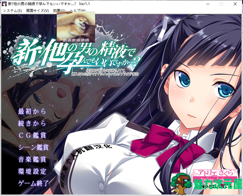 【ADV/汉化/绿帽】新·其他男人的O液真的可以用来造宝宝吗？1~3云汉化版 [安卓+PC]【3.5G】-魅力次元屋
