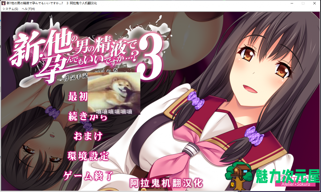 【ADV/汉化/绿帽】新·其他男人的O液真的可以用来造宝宝吗？1~3云汉化版 [安卓+PC]【3.5G】