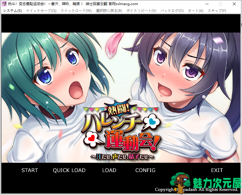 【拔作ADV/汉化】热斗！病态羞耻运动会！云汉化版 付动画+存档【1.6G/新汉化/全CV】-魅力次元屋