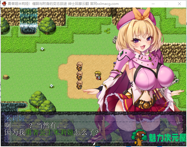 【RPG/汉化/换装】勇者姬米莉娅~催眠与附身的下作旅途！云翻汉化【450M/新汉化】