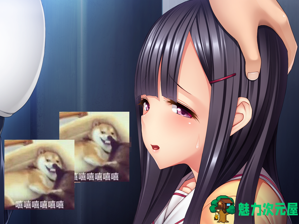 【ADV/汉化/CV】抓住弱点，狠狠蹂躏人妻和她的女儿！汉化版+CG包【8新汉化/680M】