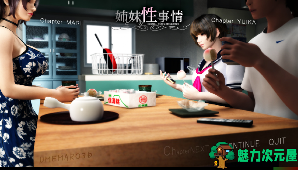 【日式3D/SLG/中文/动态/梅麻吕】姐姐和妹妹的性事！PC+安卓双端汉化版+解码动画 百度+UC/4.17G-魅力次元屋