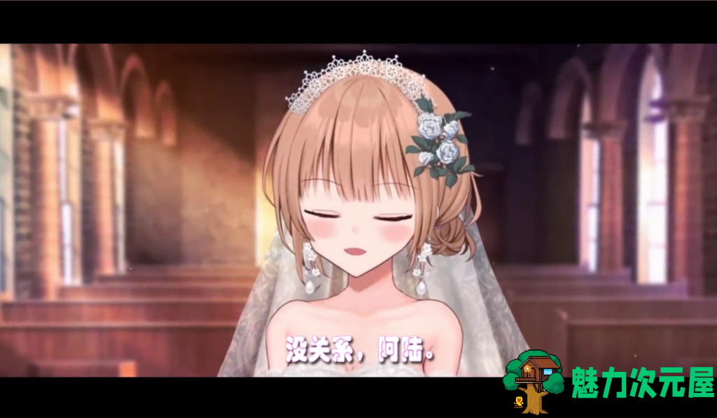 【RPG/NTR/官中/动态】新婚妻子小惠的堕落 Ver2.0 新妻めぐが堕ちる時 官方中文版 PC+安卓 百度直链/2.4G