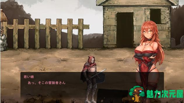 【PC/日文/原版/特典/动作/ACT游戏/2.41G】苍誓的伊莉丝:地底冥途之行 Ver1.21 日文原版+特典+动作ACT游戏+2.41G