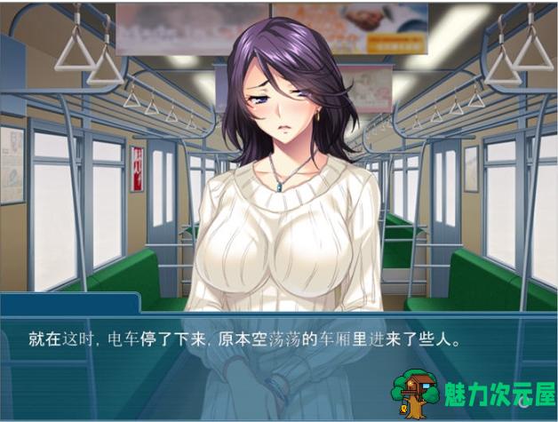 【PC/AI汉化版/全CG/存档/ADV游戏/351M】夺回属于我的一切 Ver1.0 AI汉化版+ADV游戏+全CG存档+351M