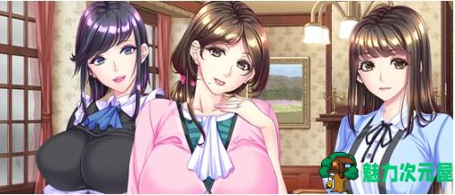 【PC/AI汉化版/ADV游戏/全CG/2.44G】蠢妇:微弱的滴落声 AI汉化版+ADV游戏+全CG+2.44G-魅力次元屋