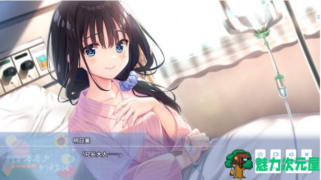 【PC/官中/DL/RPG游戏/3.1G】痴情哥哥与病弱妹妹的乡间生活 DL官方中文版+RPG游戏+3.1G
