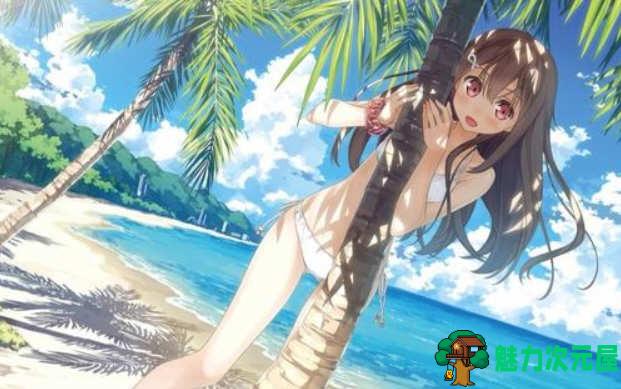 【PC/汉化版/6.5G/ADV】夏汁100% Ver2 精翻完整汉化版+存档 ADV大作&补+6.5G